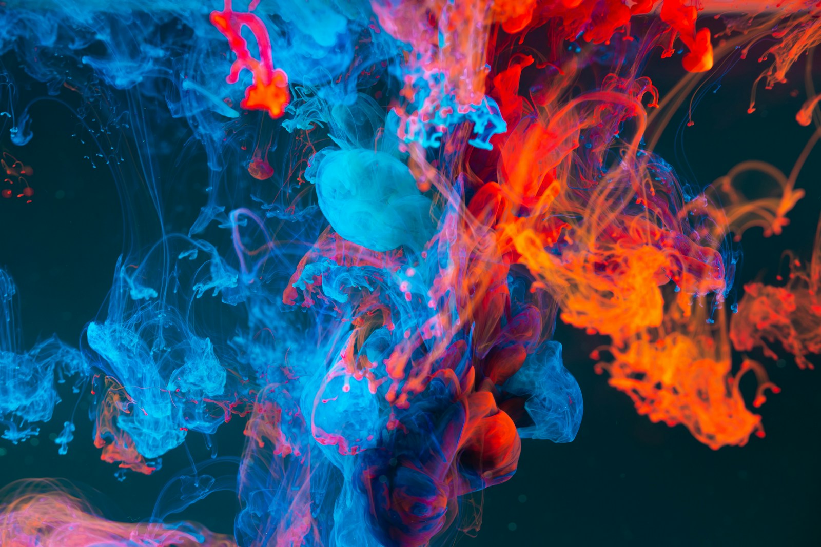 Brand identity design elements including color swatches and typography samples