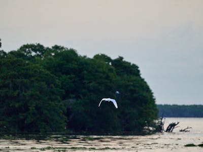 High Sierra Heating & Air - Primary logo design on light background