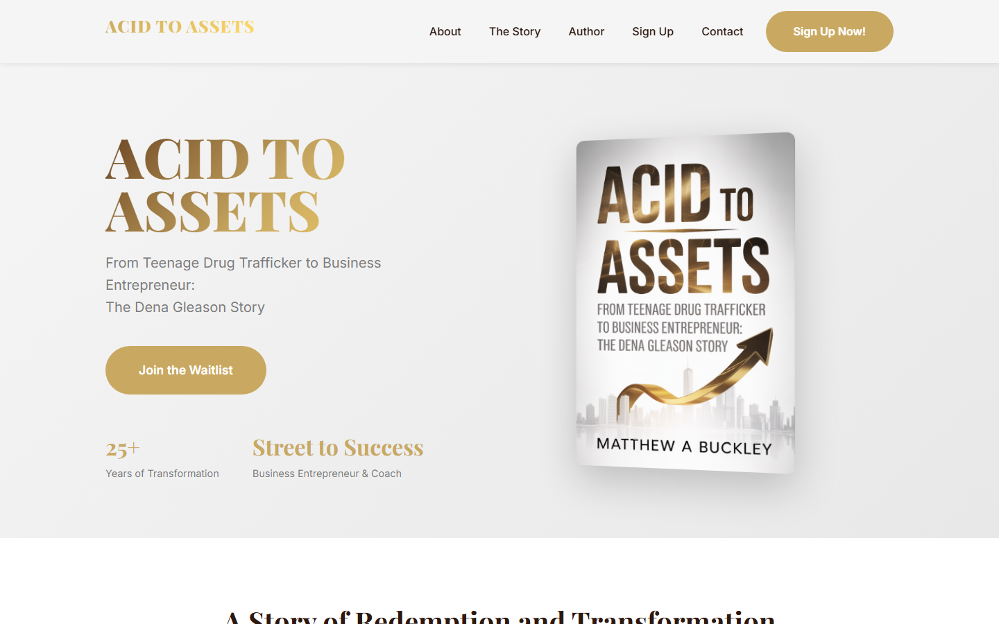 Acid to Assets premium book sales funnel with luxury gold design and 3D book cover